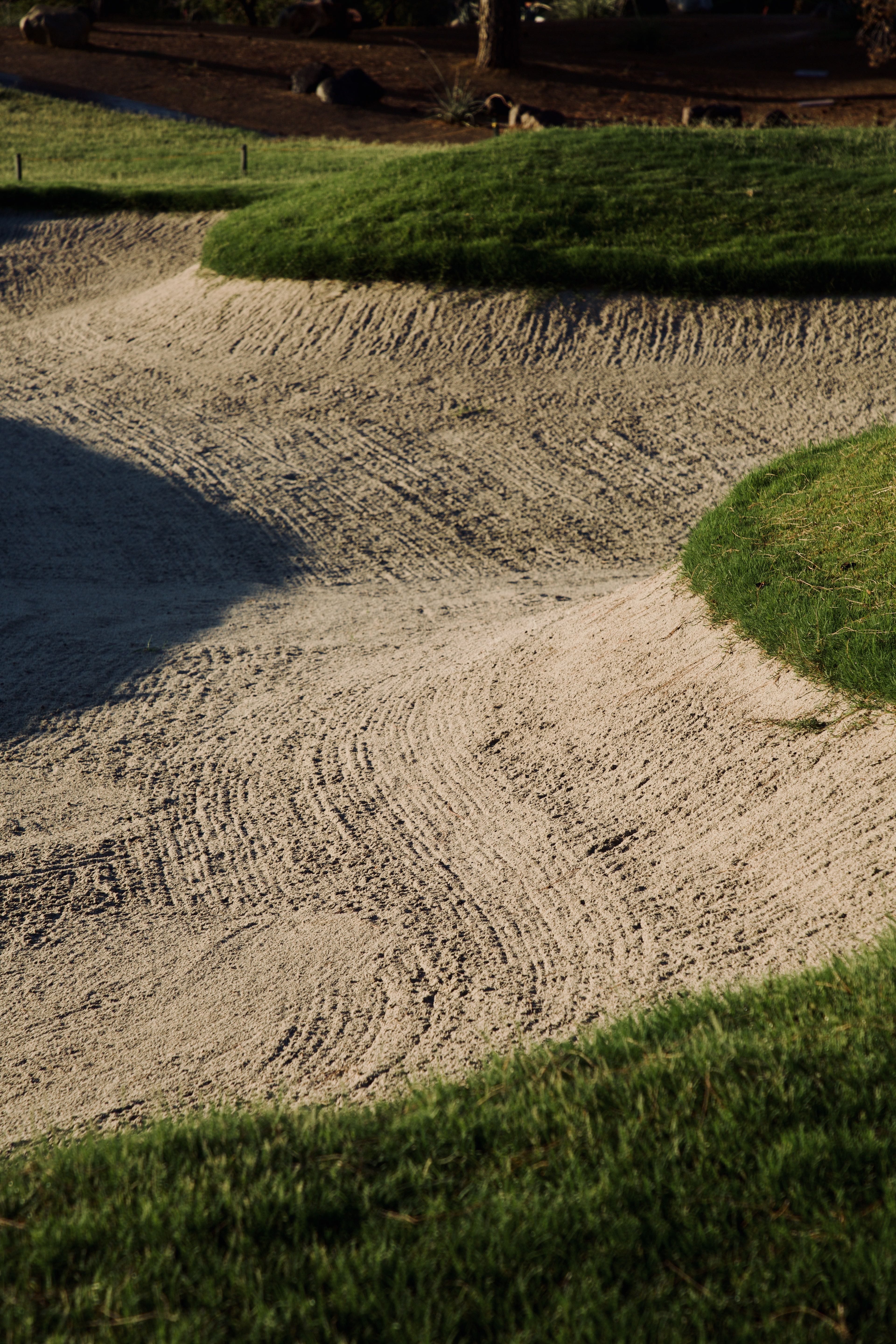 Freshly raked sand bunker with crisp lines framed by manicured green edges in golden light