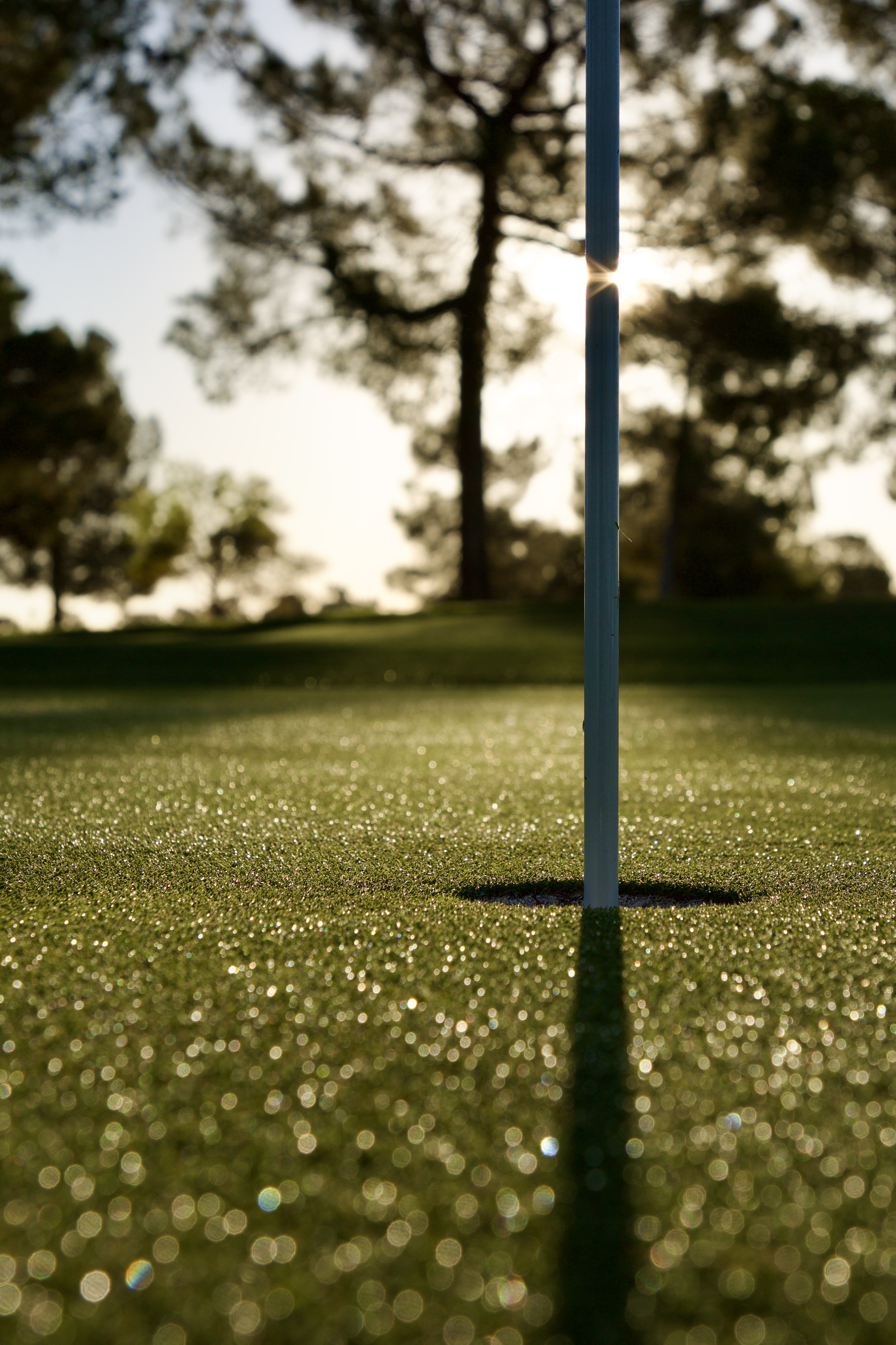 Low close-up of a flagstick in the cup with dew sparkling across the green, backlit by the rising sun